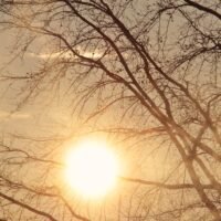 tree, dawn, morning sun, sunrise, early fog, morning mist, sun, weather, weather mood, the atmosphere, mood, peaceful mood, nature, peaceful, moment, quiet, morning mood, bare tree, morning sun, sun, sun, sun, sun, sun, weather, weather, peaceful