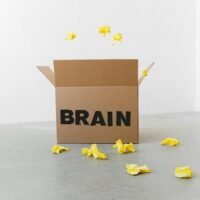 كيفية التفكير بشكل نقدي