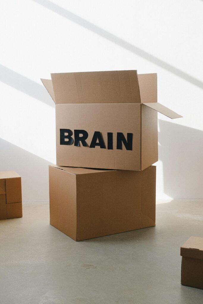Opened carton box with inscription brain on white background of wall with shadow in daylight